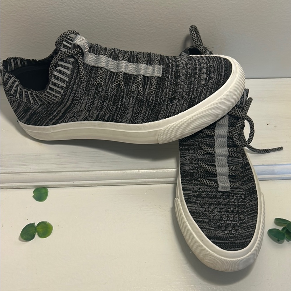 Blowfish Malibu Purple Logo Display